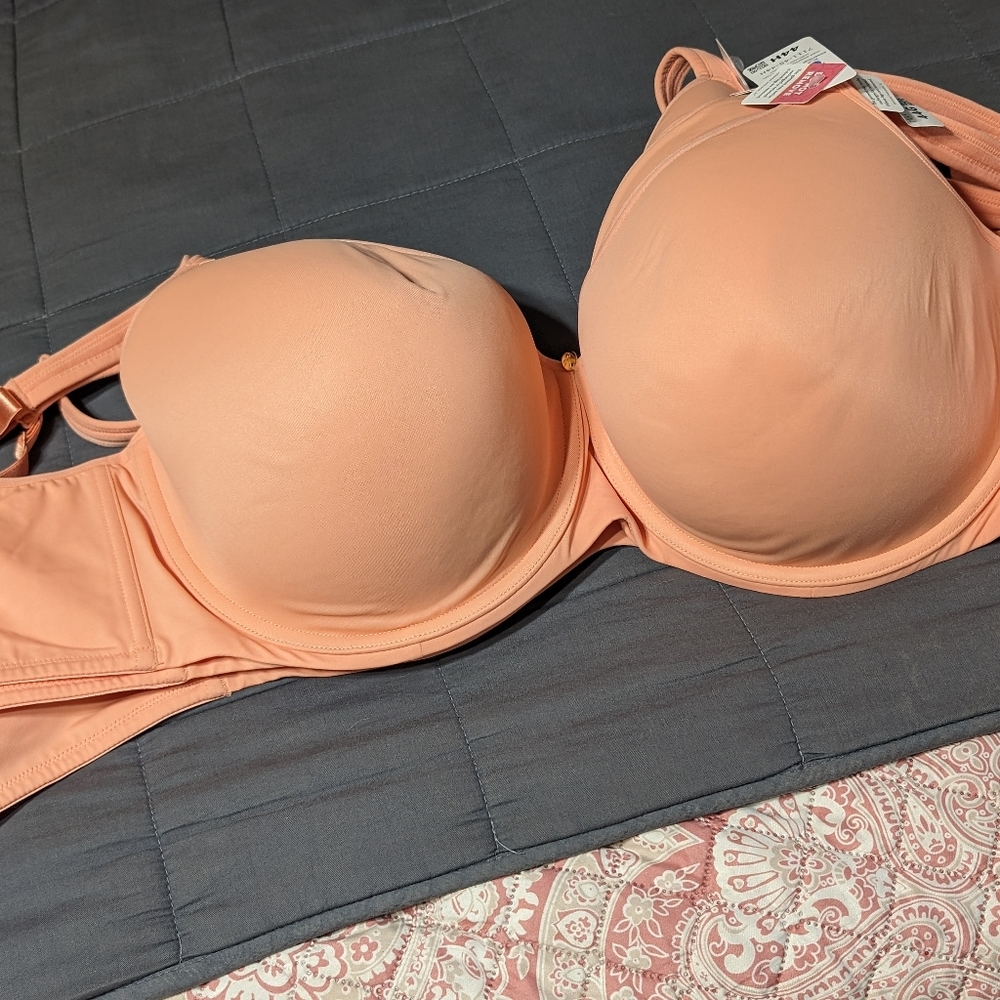 Essential Body wear Bras